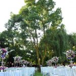 عروسی در باغ ترکیه